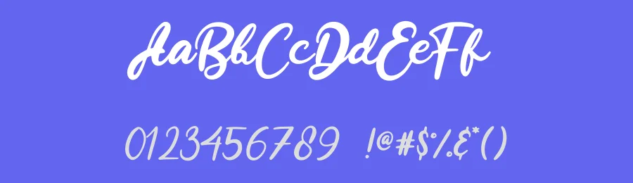 Beauty Stella Font by Enigma Lettering Studio — Script Handwritten Font — thumbnail 3