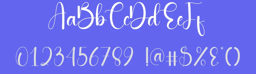Beauty Style Script Font by andikastudio — Script Handwritten Font — thumbnail 3