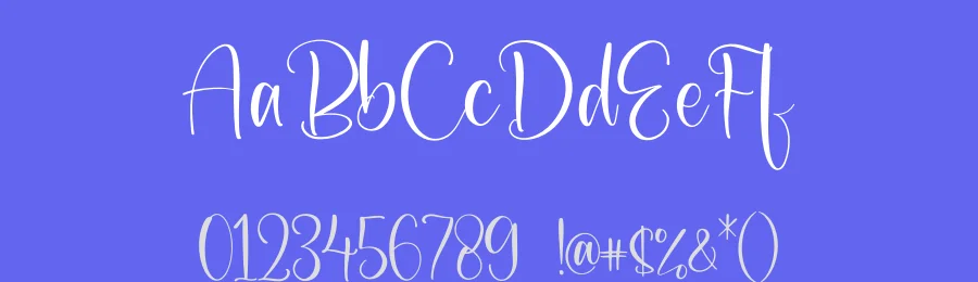 Beautyca California Font by letterfabric — Script Handwritten Font — thumbnail 3