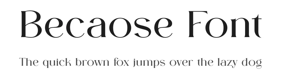 Becaose Font by Gridline Type — Serif Font