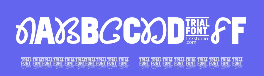Becomes Required – Modern Hybrid Font by 177Studio — Script Handwritten Font — thumbnail 3
