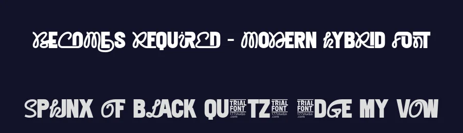 Becomes Required – Modern Hybrid Font by 177Studio — Script Handwritten Font — thumbnail 2