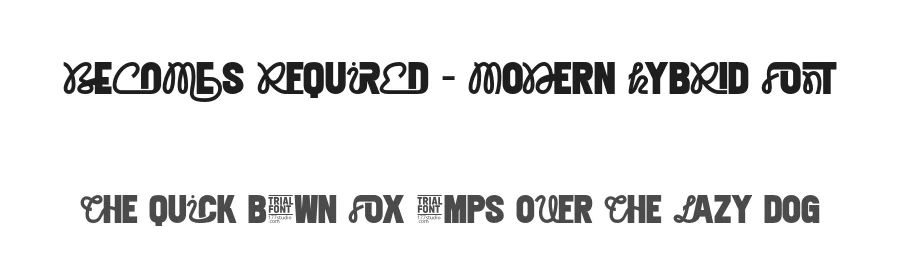 Becomes Required – Modern Hybrid Font by 177Studio — Script Handwritten Font