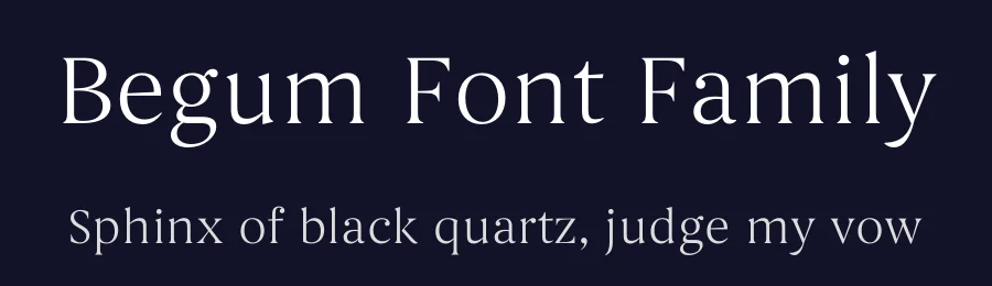 Begum Font Family by Manushi Parikh — Serif Font — thumbnail 2