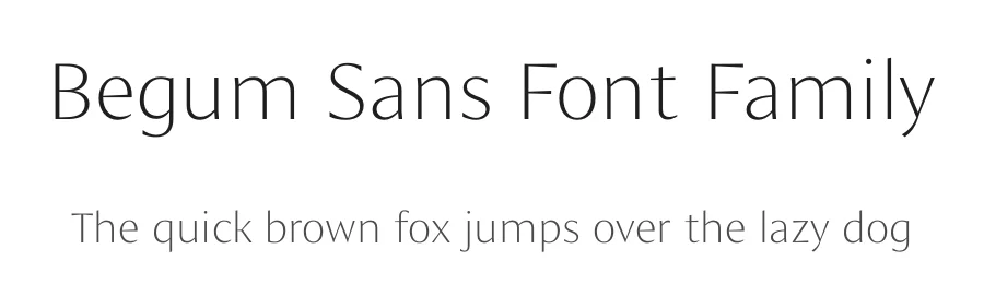 Begum Sans Font Family by Manushi Parikh — Display Font