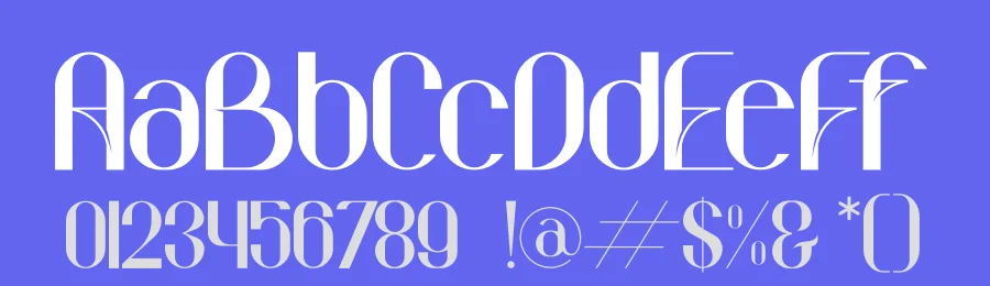Behila Sans Serif Font by Storytype — Serif Font — thumbnail 3
