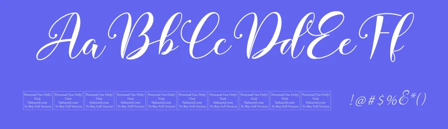 Belaris – Modern Calligraphy Font by Naharstd — Script Handwritten Font — thumbnail 3