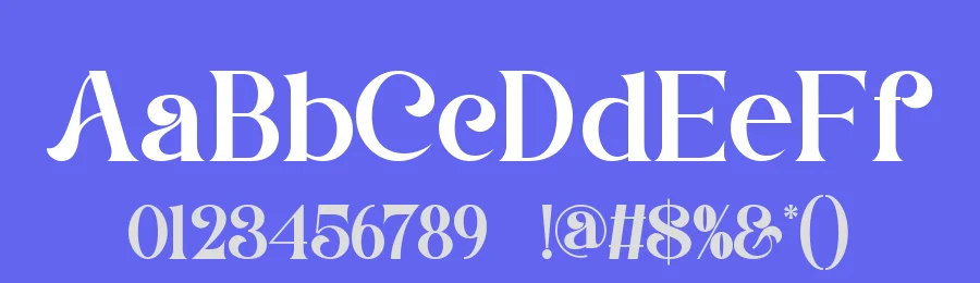 Beldom || Vintage Classy Serif Font by ErmediaStudio — Serif Font — thumbnail 3