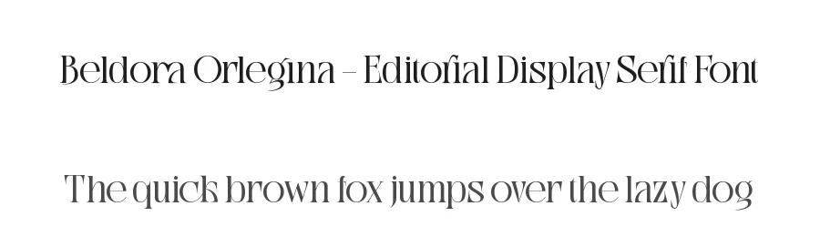 Beldora Orlegina – Editorial Display Serif Font by timelesstype.co — Display Font