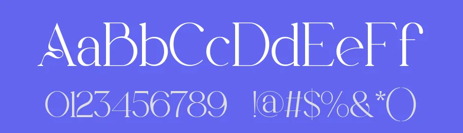 Belgad || Modern Classy Serif Font by ErmediaStudio — Display Font — thumbnail 3