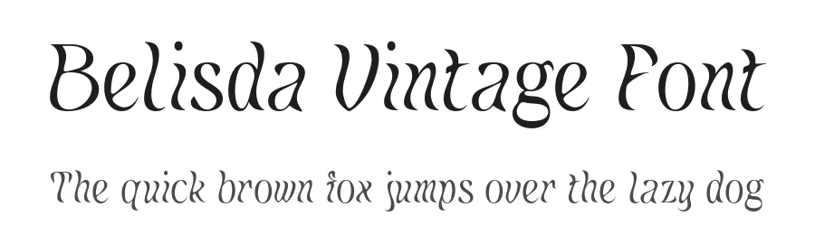 Belisda Vintage Font by craftsupplyco — Display Font