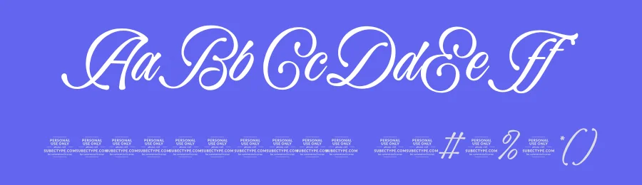 Bella Elegante Font by Subectype Studio — Script Handwritten Font — thumbnail 3