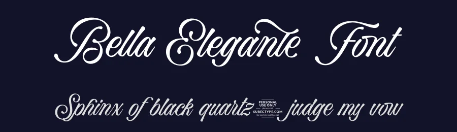 Bella Elegante Font by Subectype Studio — Script Handwritten Font — thumbnail 2