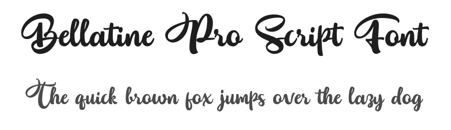 Bellatine Pro Script Font by motypeidea — Script Handwritten Font