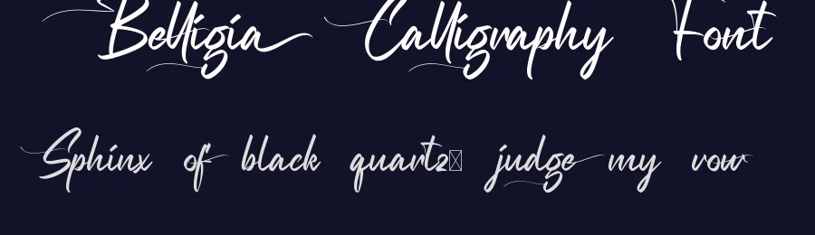 Belligia Calligraphy Font by VinType — Script Handwritten Font — thumbnail 2