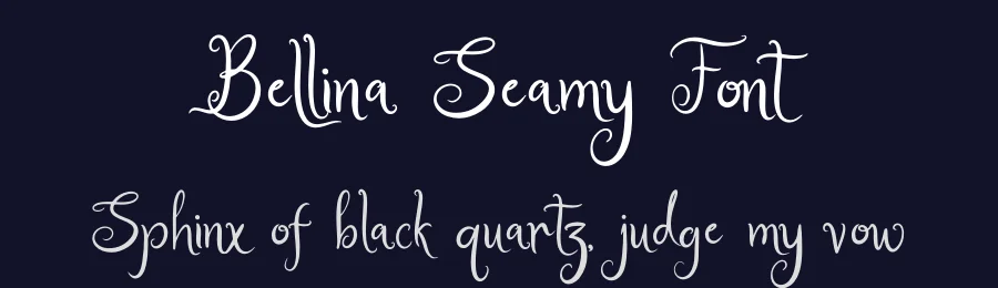 Bellina Seamy Font by Denustudios — Serif Font — thumbnail 2