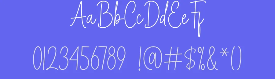 Bellinda Script Font by DN Creative — Script Handwritten Font — thumbnail 3