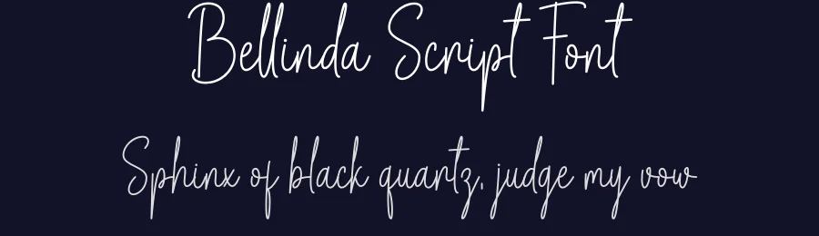 Bellinda Script Font by DN Creative — Script Handwritten Font — thumbnail 2