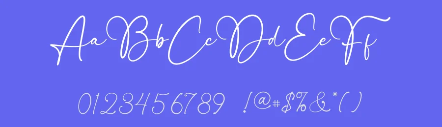 Bellissa Signature Typeface by Basnistudio — Script Handwritten Font — thumbnail 3