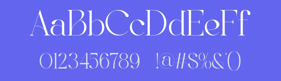 Belyga Font by ErmediaStudio — Serif Font — thumbnail 3