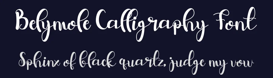 Belymole Calligraphy Font by letterenastudios — Script Handwritten Font — thumbnail 2