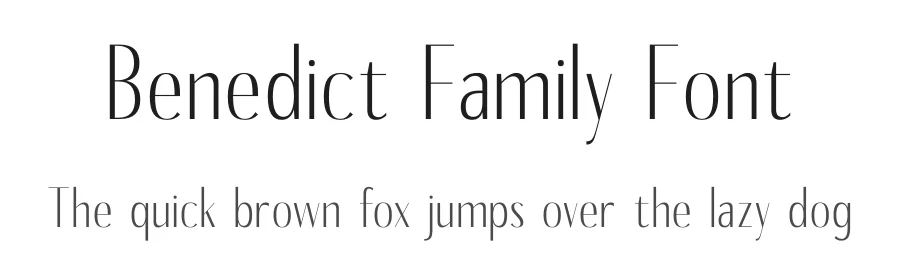 Benedict Family Font by Storytype — Sans Serif Font
