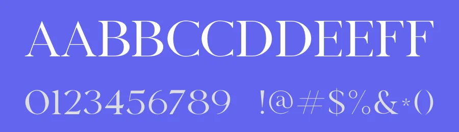 Benfika Font by TypeLogue — Serif Font — thumbnail 3
