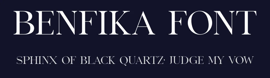 Benfika Font by TypeLogue — Serif Font — thumbnail 2