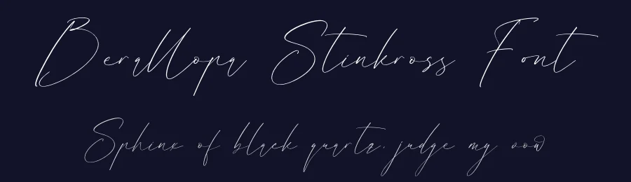Berallopa Stinkross Font by letterfabric — Script Handwritten Font — thumbnail 2
