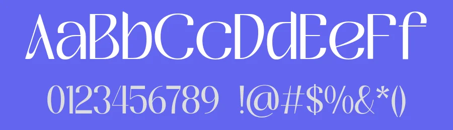 Berday Font by mixjpg — Serif Font — thumbnail 3