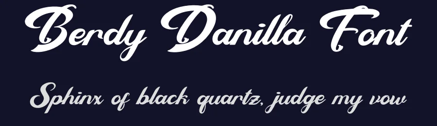 Berdy Danilla Font by Denustudios — Script Handwritten Font — thumbnail 2