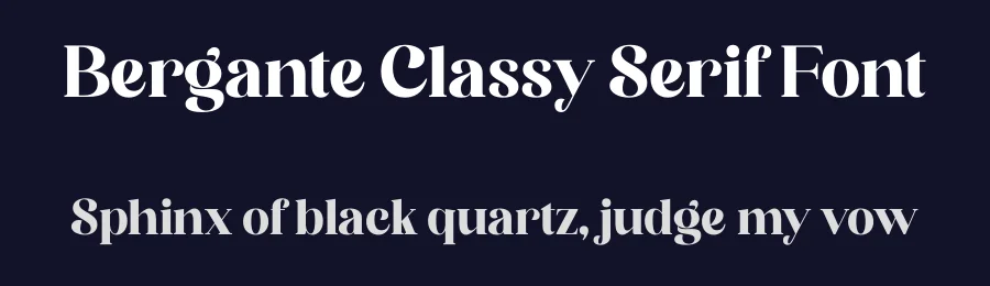 Bergante Classy Serif Font by Storytype — Serif Font — thumbnail 2