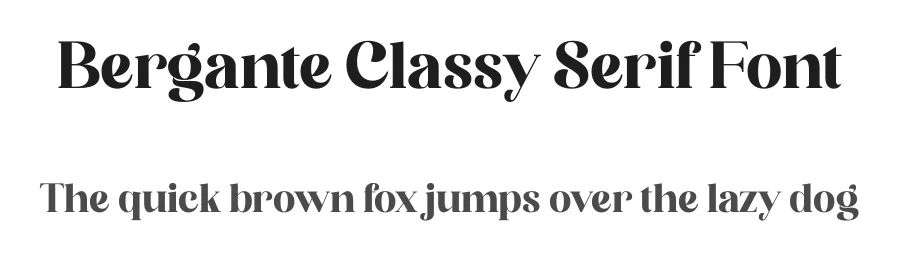 Bergante Classy Serif Font by Storytype — Serif Font