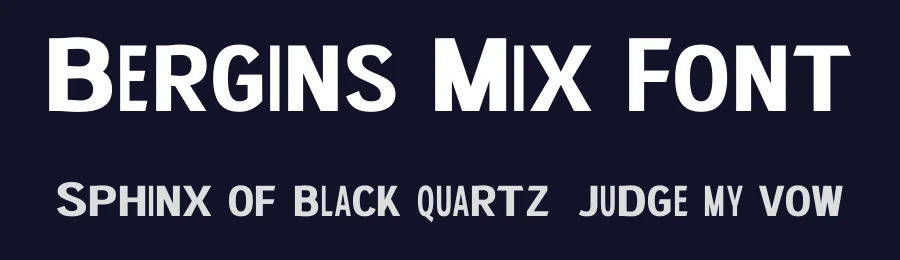 Bergins Mix Font by craftsupplyco — Display Font — thumbnail 2