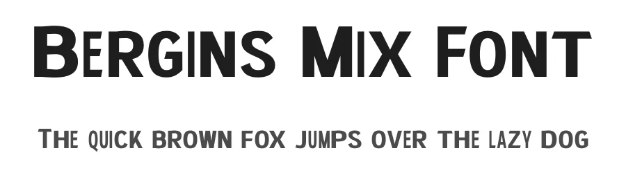 Bergins Mix Font by craftsupplyco — Display Font