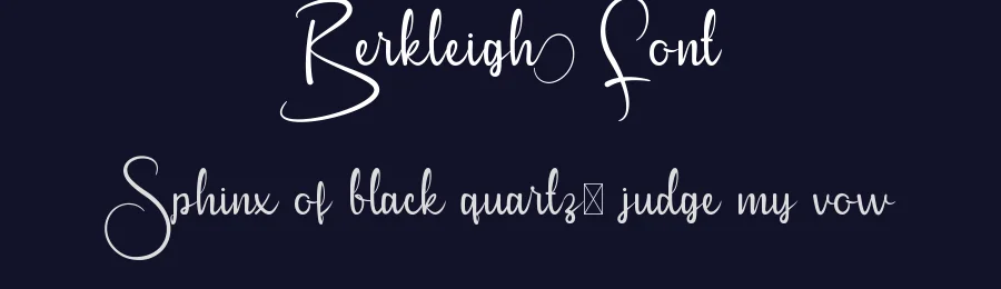 Berkleigh Font by VinType — Script Handwritten Font — thumbnail 2