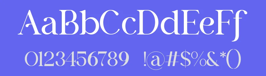 Berliga || Modern Classy Serif Font by ErmediaStudio — Display Font — thumbnail 3