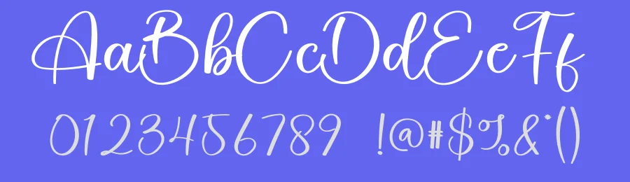 Bernard Calligraphy Font by creativeletter — Script Handwritten Font — thumbnail 3