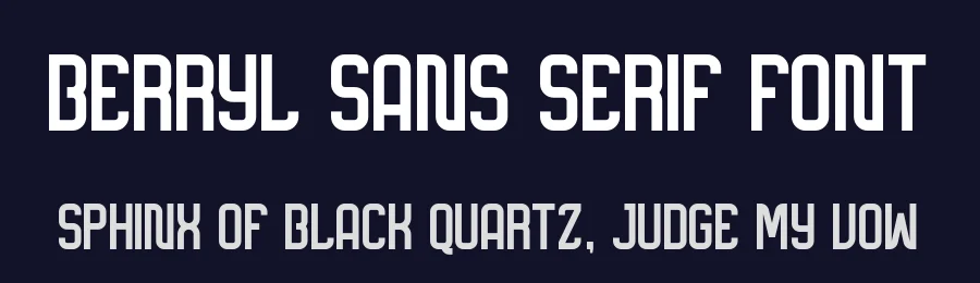 Berryl Sans Serif Font by letterfallstd — Sans Serif Font — thumbnail 2