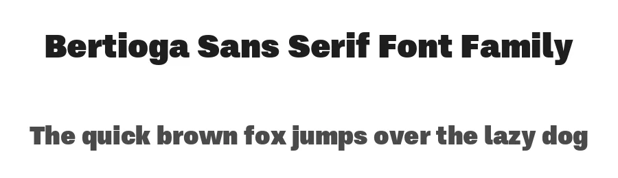 Bertioga Sans Serif Font Family by Cristiano Sobral — Sans Serif Font