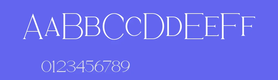 Bervina Stylish Serif Font by Balevgraph Studio — Serif Font — thumbnail 3