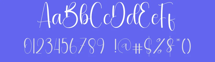 Bestfulch – Modern Script Handwritten Font by andikastudio — Script Handwritten Font — thumbnail 3