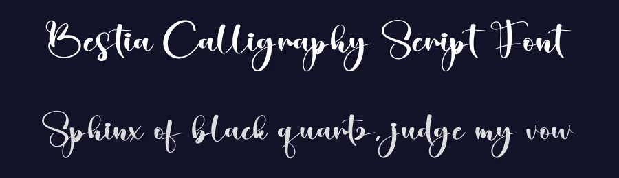 Bestia Calligraphy Script Font by creativeletter — Script Handwritten Font — thumbnail 2