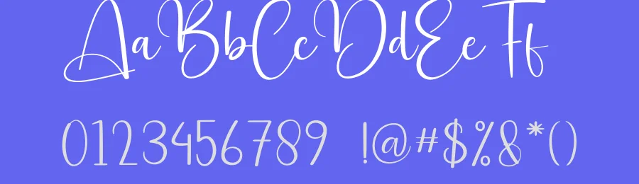 Bestival Calligraphy Font by creativeletter — Script Handwritten Font — thumbnail 3