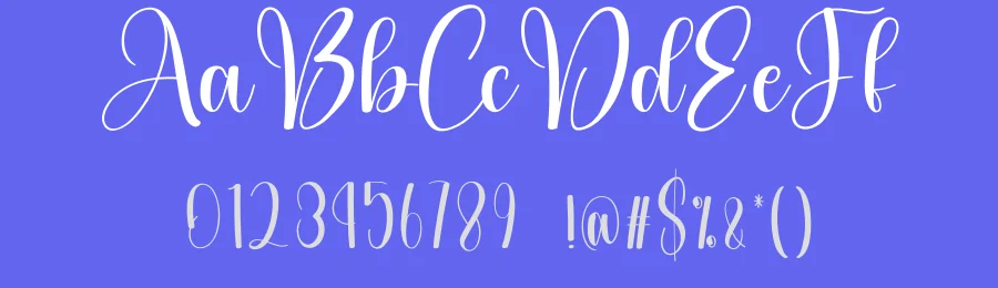 Bestival – Elegant Handwritten Font by creativeletter — Script Handwritten Font — thumbnail 3