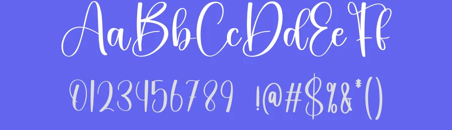 Bestival – Modern Handwritten Script Font by creativeletter — Script Handwritten Font — thumbnail 3