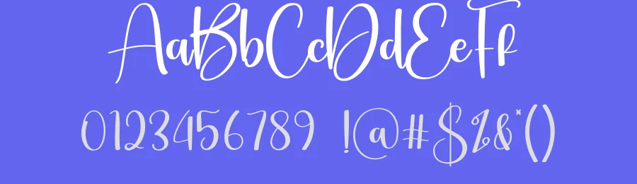 Bestival Script Font by creativeletter — Script Handwritten Font — thumbnail 3
