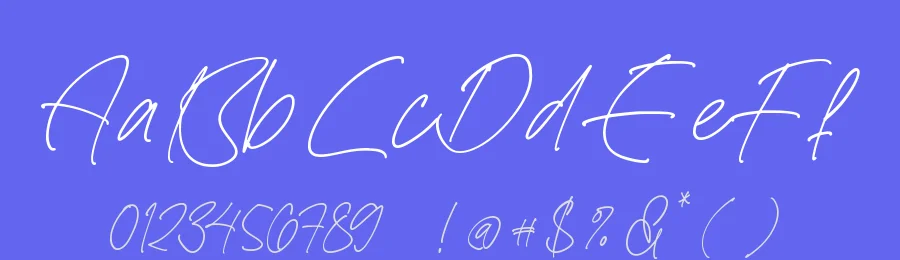 Bestnight Tropicals Script Font by stylishtype.co — Script Handwritten Font — thumbnail 3