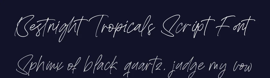 Bestnight Tropicals Script Font by stylishtype.co — Script Handwritten Font — thumbnail 2