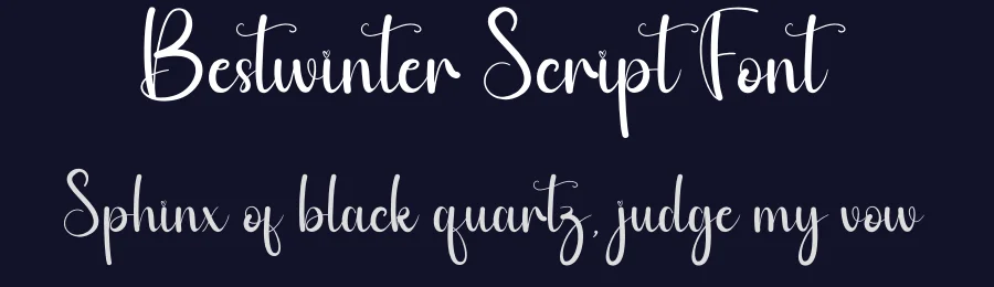 Bestwinter Script Font by andikastudio — Script Handwritten Font — thumbnail 2